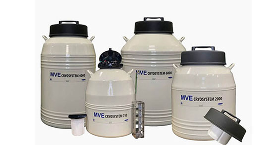 查特杜瓦瓶
